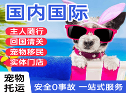 呼和浩特白塔机场空运国际宠物托运 【国